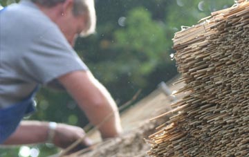 professional Rinsey thatchers