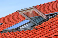 Rinsey roof window